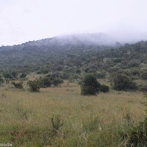 Early Morning View - Maasai Mara