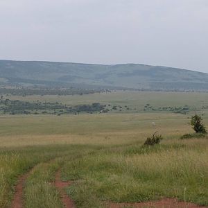 View - Maasai Mara