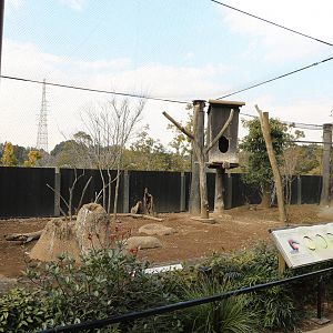 Ground hornbill aviary, February 2016
