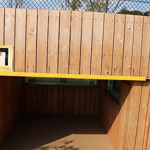 African wild dog viewing area, February 2016