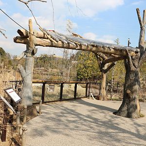 Black rhino viewing area, February 2016