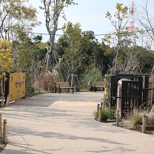 Black rhino crossing, February 2016