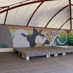 Photo mosaic, February 2016