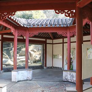 Tibetan macaque viewing area, February 2016
