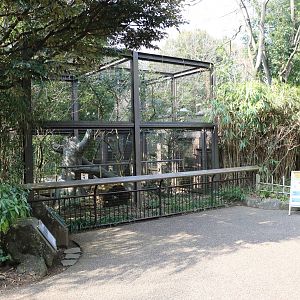 Oriental white stork aviary, February 2016