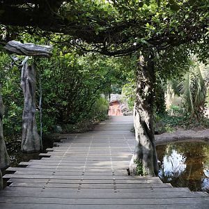 Amazon path, February 2016