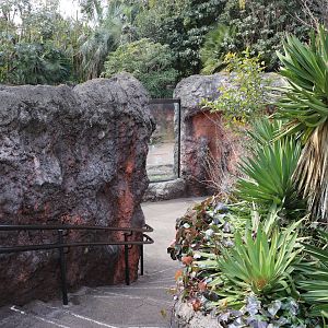 Bush dog viewing area, February 2016