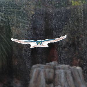 Raptor sticker, February 2016