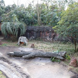 Part of bush dog enclosure, February 2016