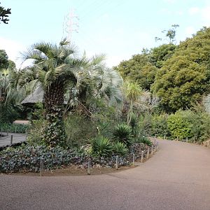 Paths in Amazon area, February 2016