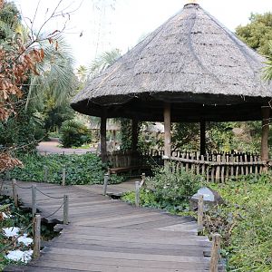 Rest hut, February 2016