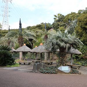 Amazon rest area, February 2016