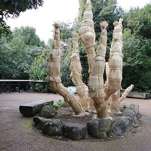 Unusual ornamental feature, February 2016