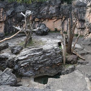 Part of spectacled bear enclosure, February 2016
