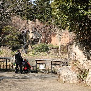Japanese black bear viewing area, February 2016