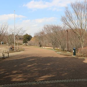 Path at the zoo, February 2016