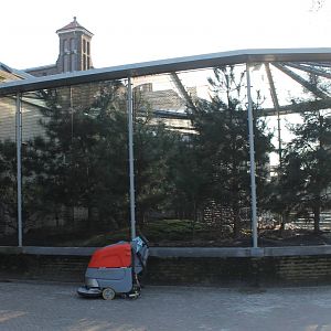 Enclosure Alpine marmots