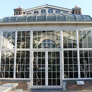 Outdoor enclosure Monkey house - and a ZooChatter