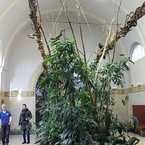 Part of Monkey house