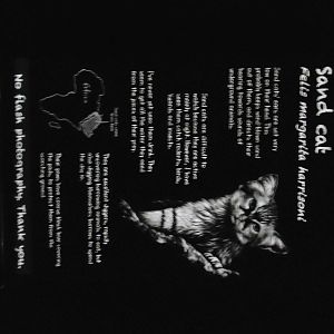 New Style Lit Signage - Nocturnal House