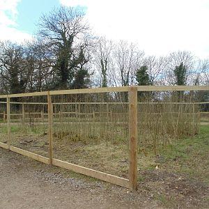New enclosure next to White Belted Ruffed Lemur