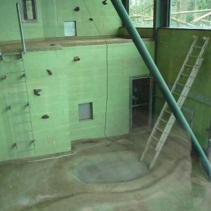 Crested Macaque House, February 2016