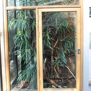 Enclosure Green tree python
