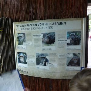 Chimp biographies
