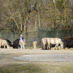 Memories of Heinz Heck