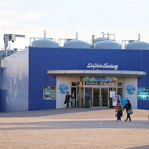 Dolphin fantasy exterior, February 2016