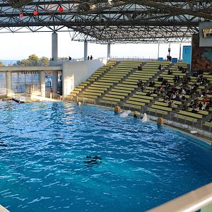 Stadium, February 2016