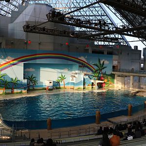 Stadium, February 2016