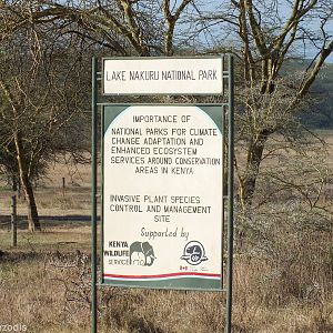 Entrance Sign - Lake Nakuru