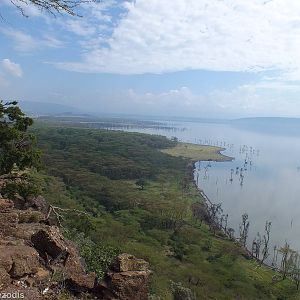 View - Lake Nakuru