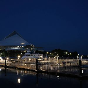 Looking across Umi Farm, February 2016