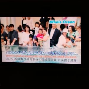 Mind your precision instrument! February 2016