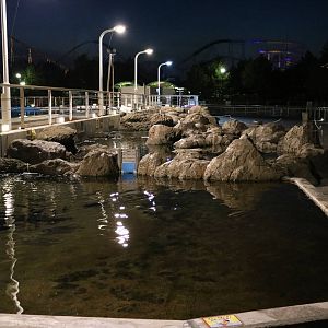 Touch/wading pools, February 2016