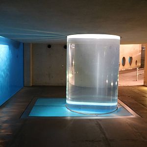 Seal viewing window and acrylic cylinder, February 2016