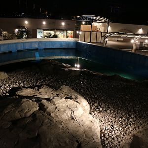 Walrus enclosure, February 2016