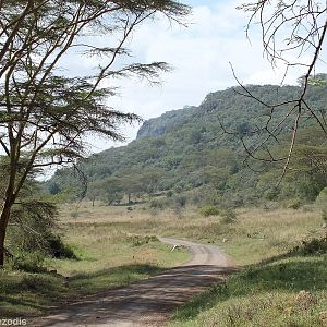 View - Lake Nakuru