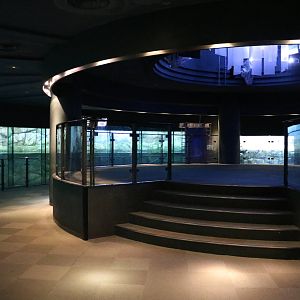 Polar bear and walrus gallery, February 2016