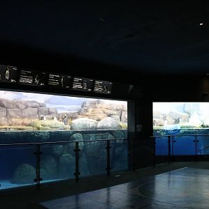 Penguin enclosure, February 2016
