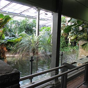 Second part of False gharial enclosure