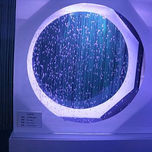 A tank full of sea angels, February 2016