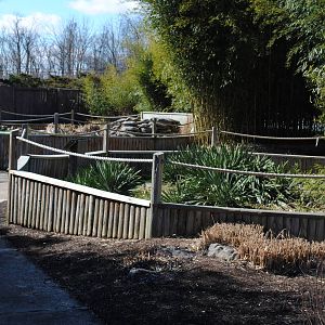 Summer Turtle/Tortoises Pens