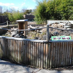 Summer Turtle Pen (4 species)