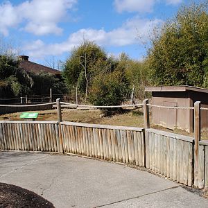 Summer Pen for Galapagos Tortoises