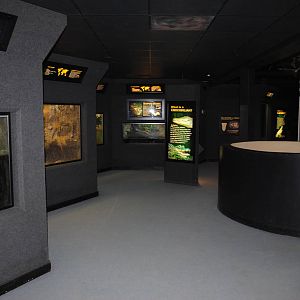 Main Exhibit Gallery