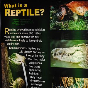 Poster in the Main Gallery