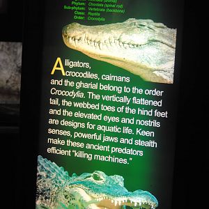 Poster in the Main Gallery